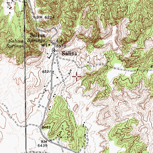 Topographic Map of Salina, AZ