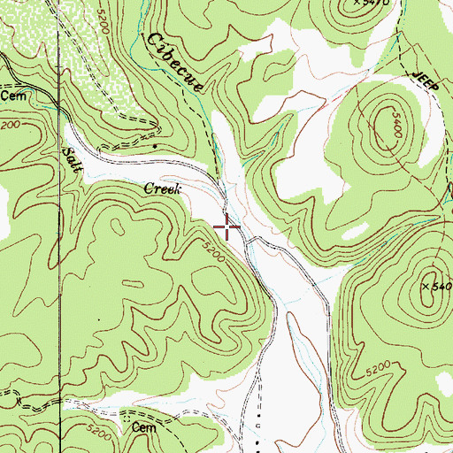 Topographic Map of Salt Creek, AZ