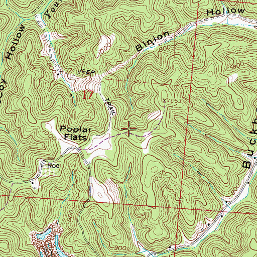 Topographic Map of Binion Hollow, OH