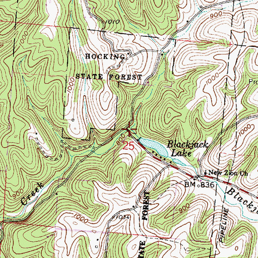 Topographic Map of Blackjack Branch, OH