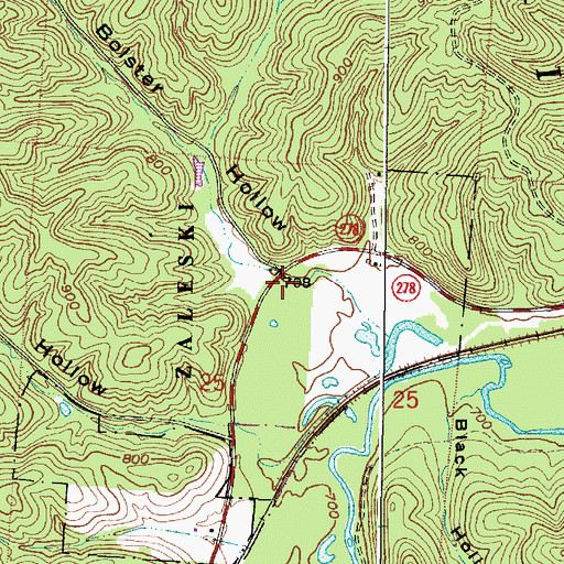 Topographic Map of Bolster Hollow, OH