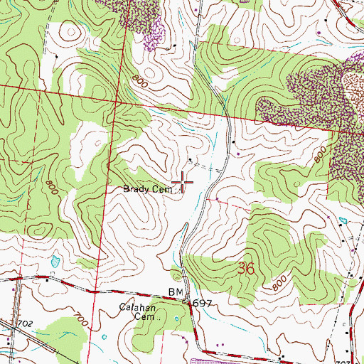 Topographic Map of Brady Cemetery, OH