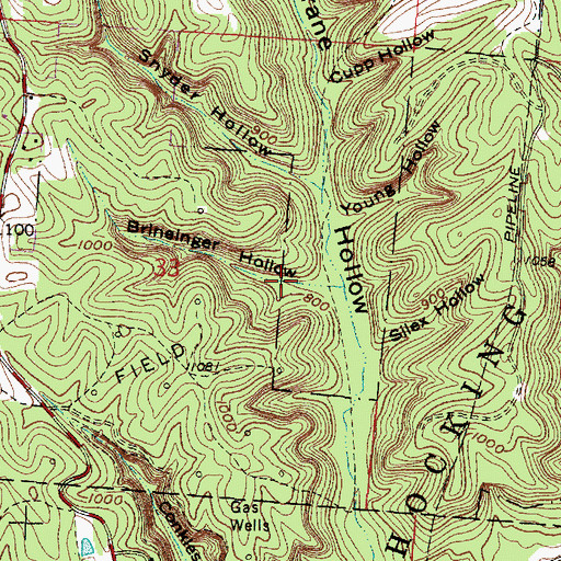 Topographic Map of Brineinger Hollow, OH