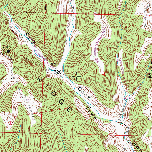 Topographic Map of Brister Fork, OH