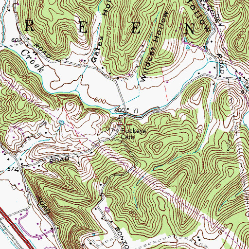 Topographic Map of Buckeye Cemetery, OH