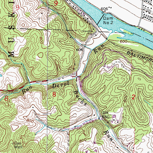 Topographic Map of Bucks Run, OH