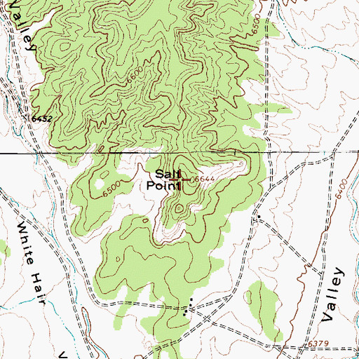 Topographic Map of Salt Point, AZ