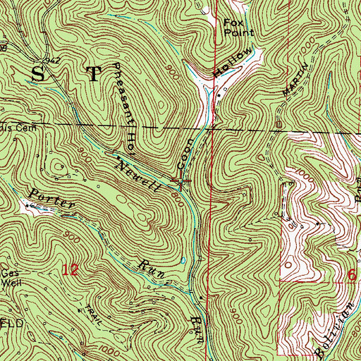 Topographic Map of Coon Hollow, OH