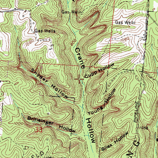 Topographic Map of Cupp Hollow, OH