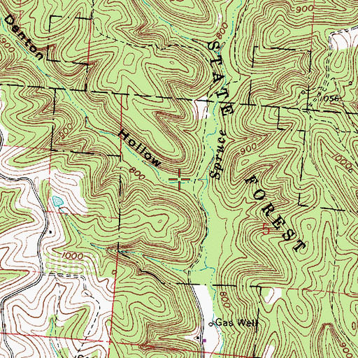 Topographic Map of Denton Hollow, OH