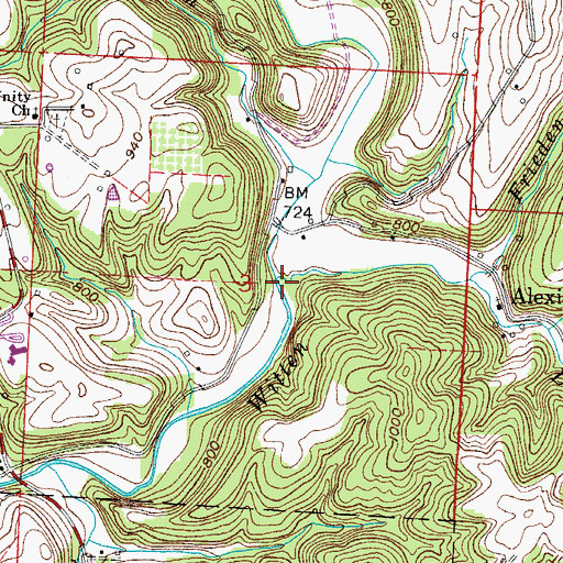 Topographic Map of Dogskin Run, OH