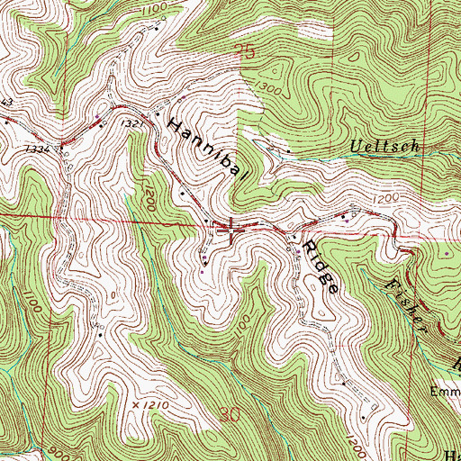 Topographic Map of Hannibal Ridge, OH