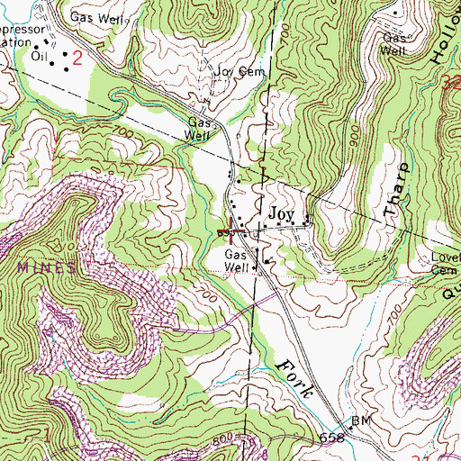 Topographic Map of Joy, OH