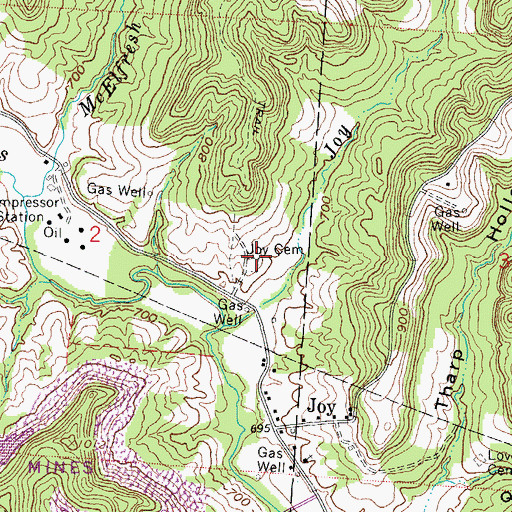Topographic Map of Joy Cemetery, OH