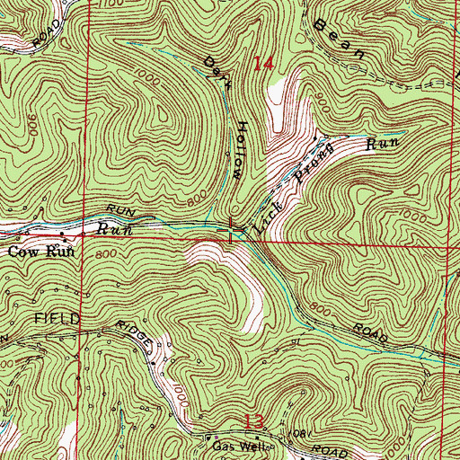Topographic Map of Lick Prong Run, OH