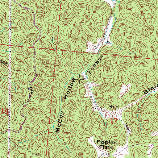 Topographic Map of McCoy Hollow, OH