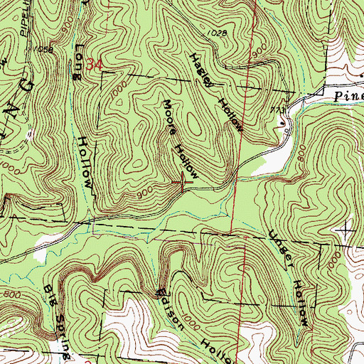Topographic Map of Moore Hollow, OH