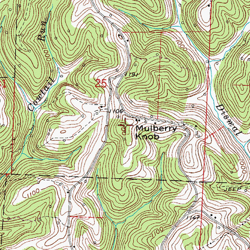 Topographic Map of Mulberry Knob, OH