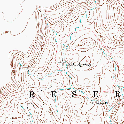 Topographic Map of Salt Spring, AZ