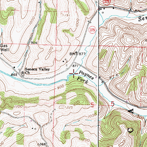Topographic Map of Paynes Fork, OH