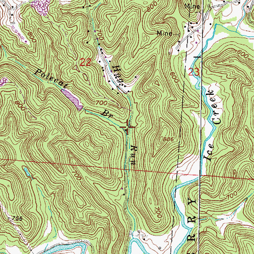Topographic Map of Polecat Branch Hag Run, OH