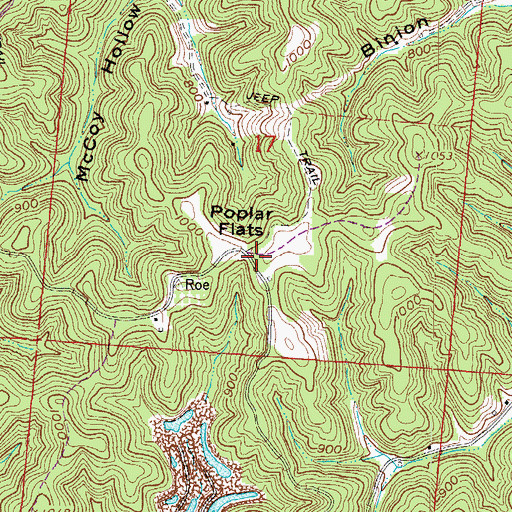 Topographic Map of Poplar Flats, OH