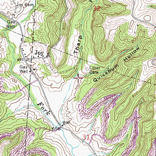 Topographic Map of Quickbum Hollow, OH
