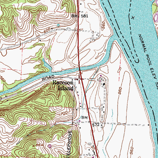 Topographic Map of Raccoon Island, OH