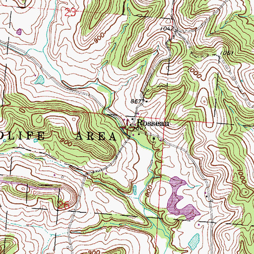 Topographic Map of Rosseau, OH