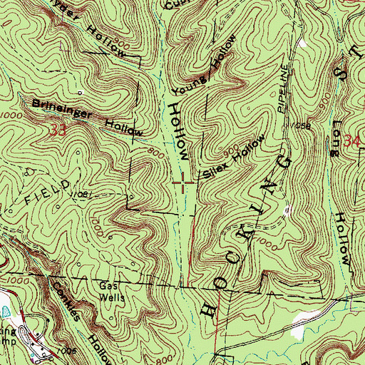 Topographic Map of Silex Hollow, OH