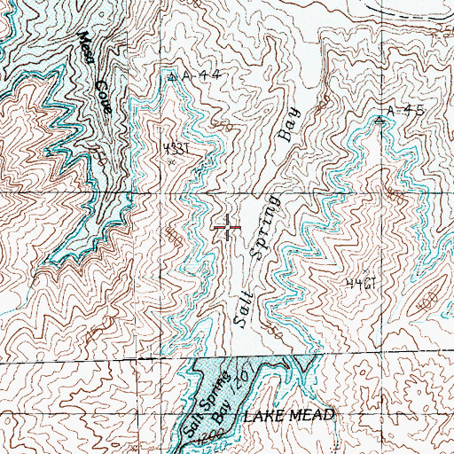 Topographic Map of Salt Spring Bay, AZ