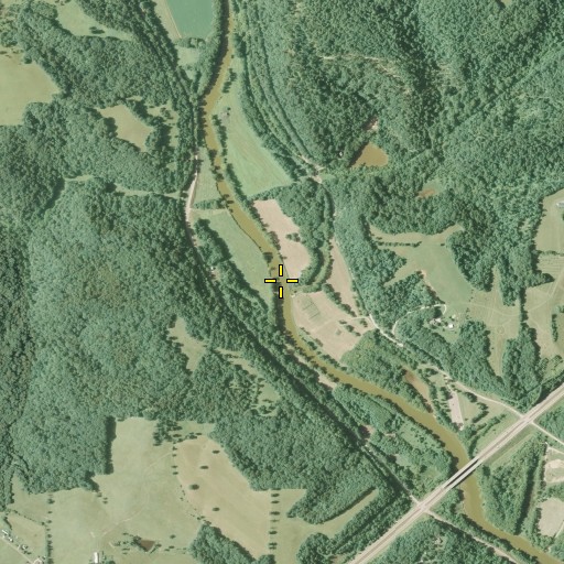 Aerial/Satellite Image of Skunk Run, OH