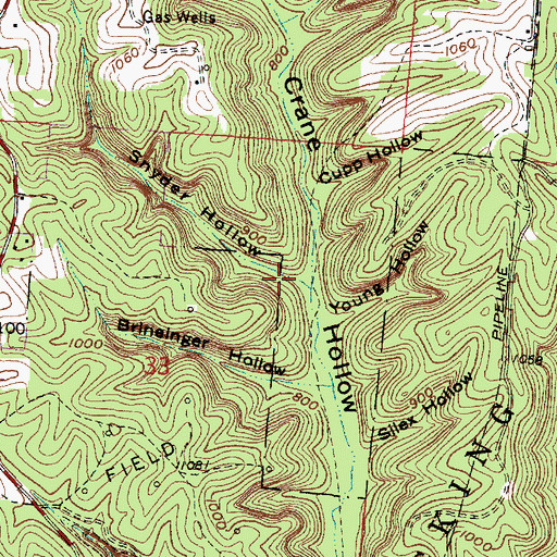 Topographic Map of Snyder Hollow, OH