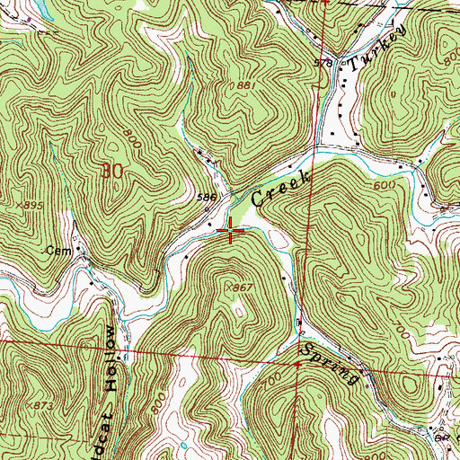 Topographic Map of Spring Branch, OH