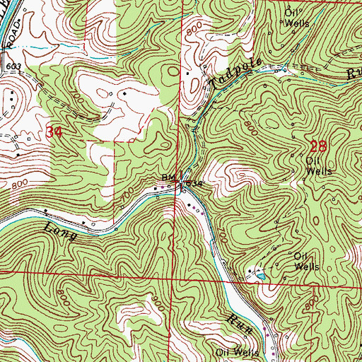 Topographic Map of Tadpole Run, OH