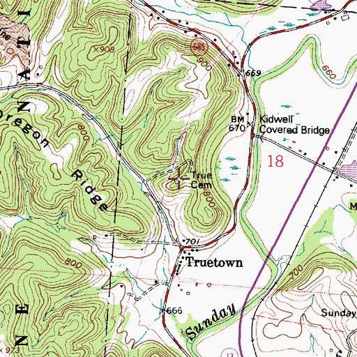 Topographic Map of True Cemetery, OH