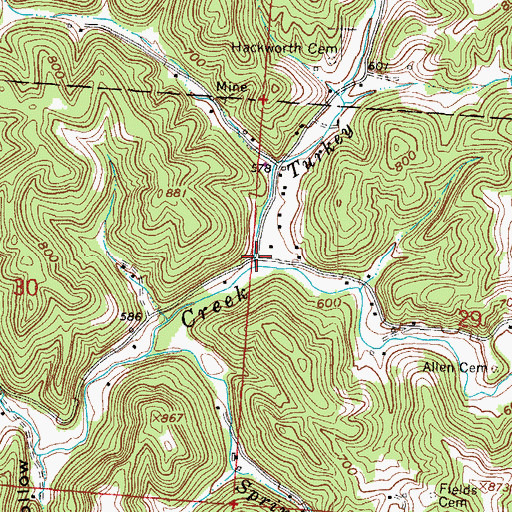 Topographic Map of Turkey Fork, OH