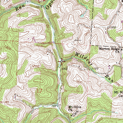 Topographic Map of Wildcat Run, OH