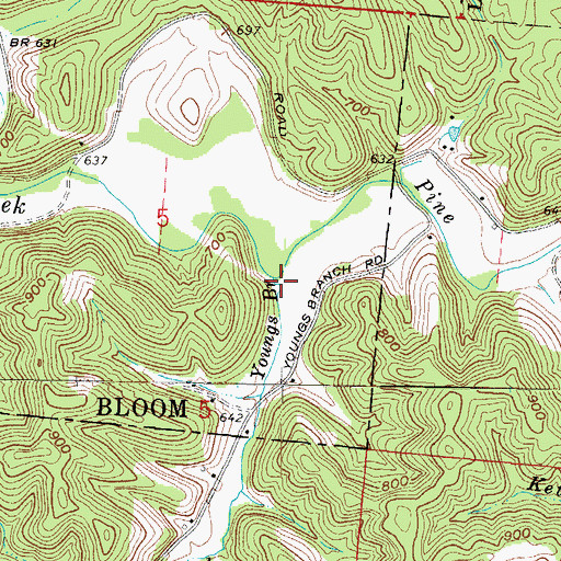 Topographic Map of Youngs Branch, OH