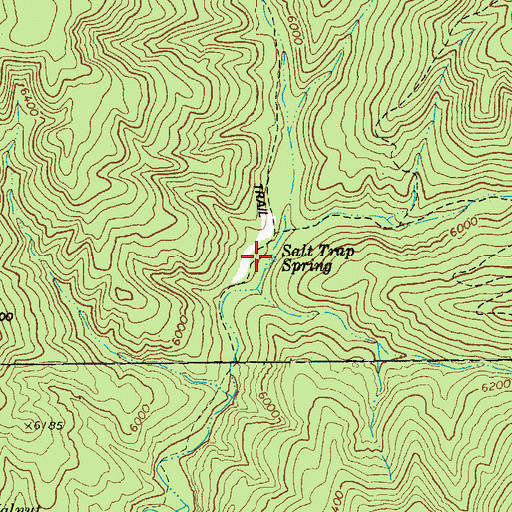 Topographic Map of Salt Trap Spring, AZ