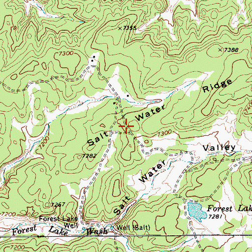 Topographic Map of Salt Water Ridge, AZ