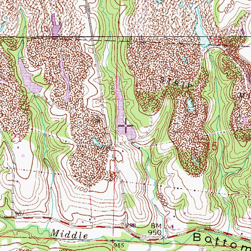 Topographic Map of Seleski Pond Dam, OH