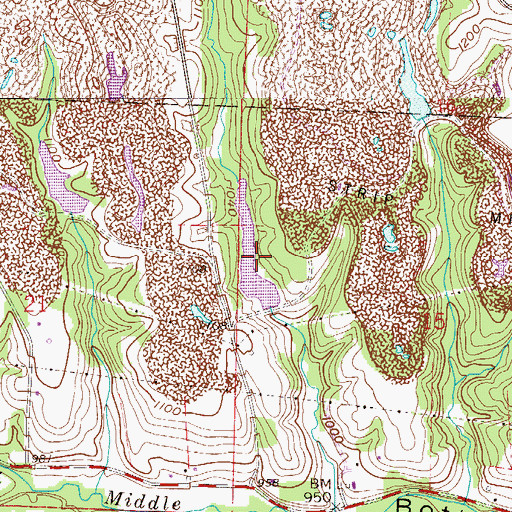 Topographic Map of Seleski Pond, OH