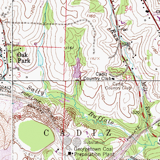 Topographic Map of Cadiz Country Club Lake Dam, OH