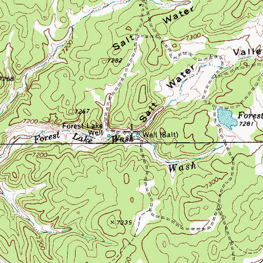 Topographic Map of Salt Water Valley, AZ