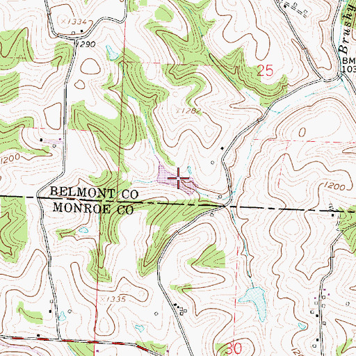 Topographic Map of Blatt Pond, OH