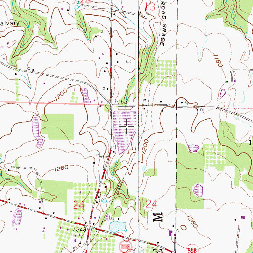 Topographic Map of Big Rock Lake, OH