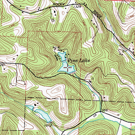 Topographic Map of Pine Lake, OH