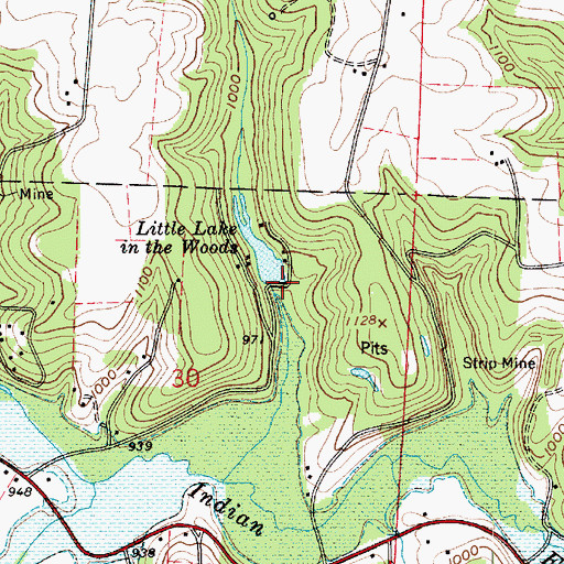 Topographic Map of Little Lake in the Woods Dam, OH