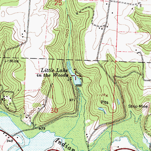 Topographic Map of Little Lake in the Woods, OH